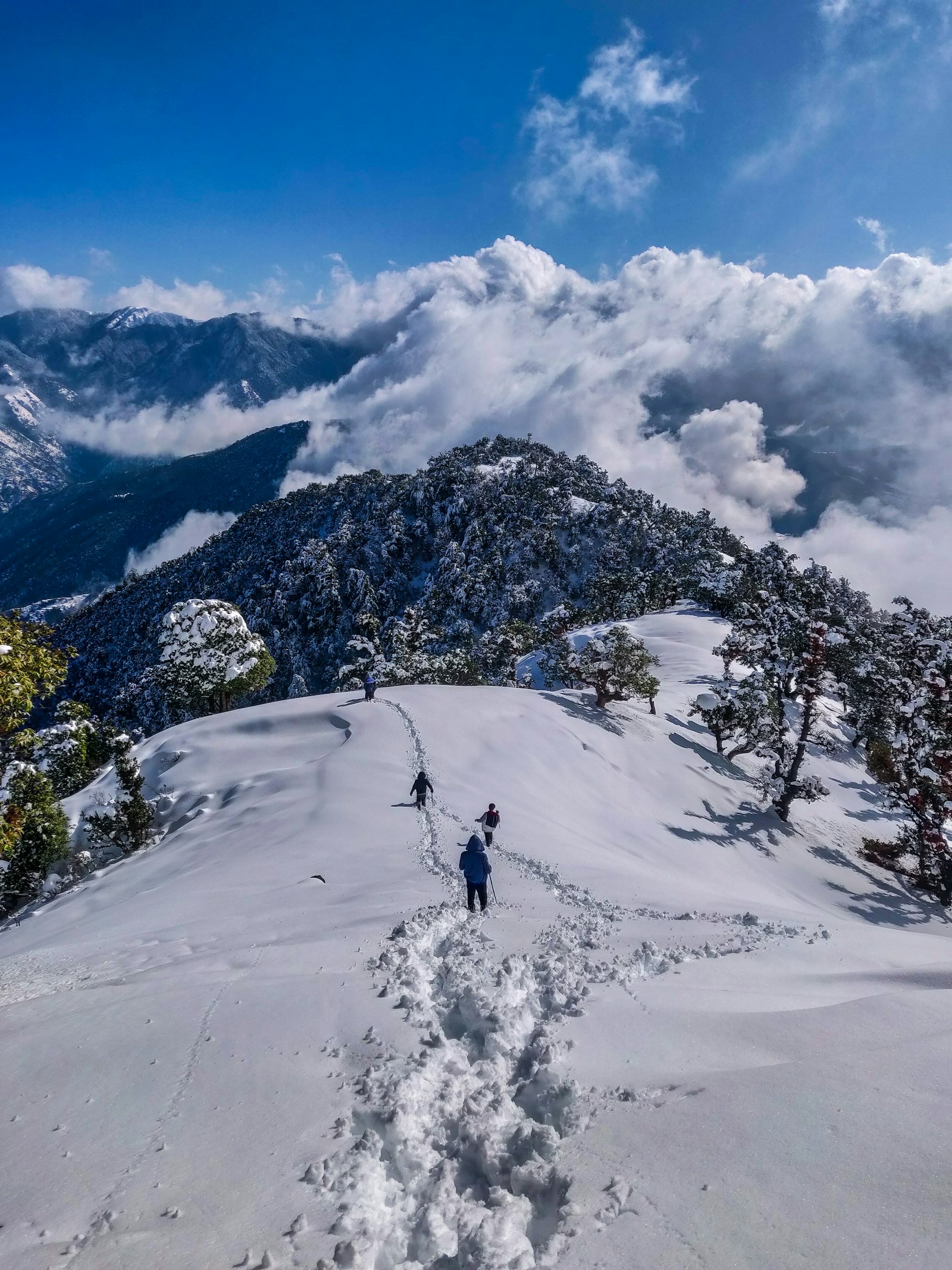 Langtang Valley with snow peaks
